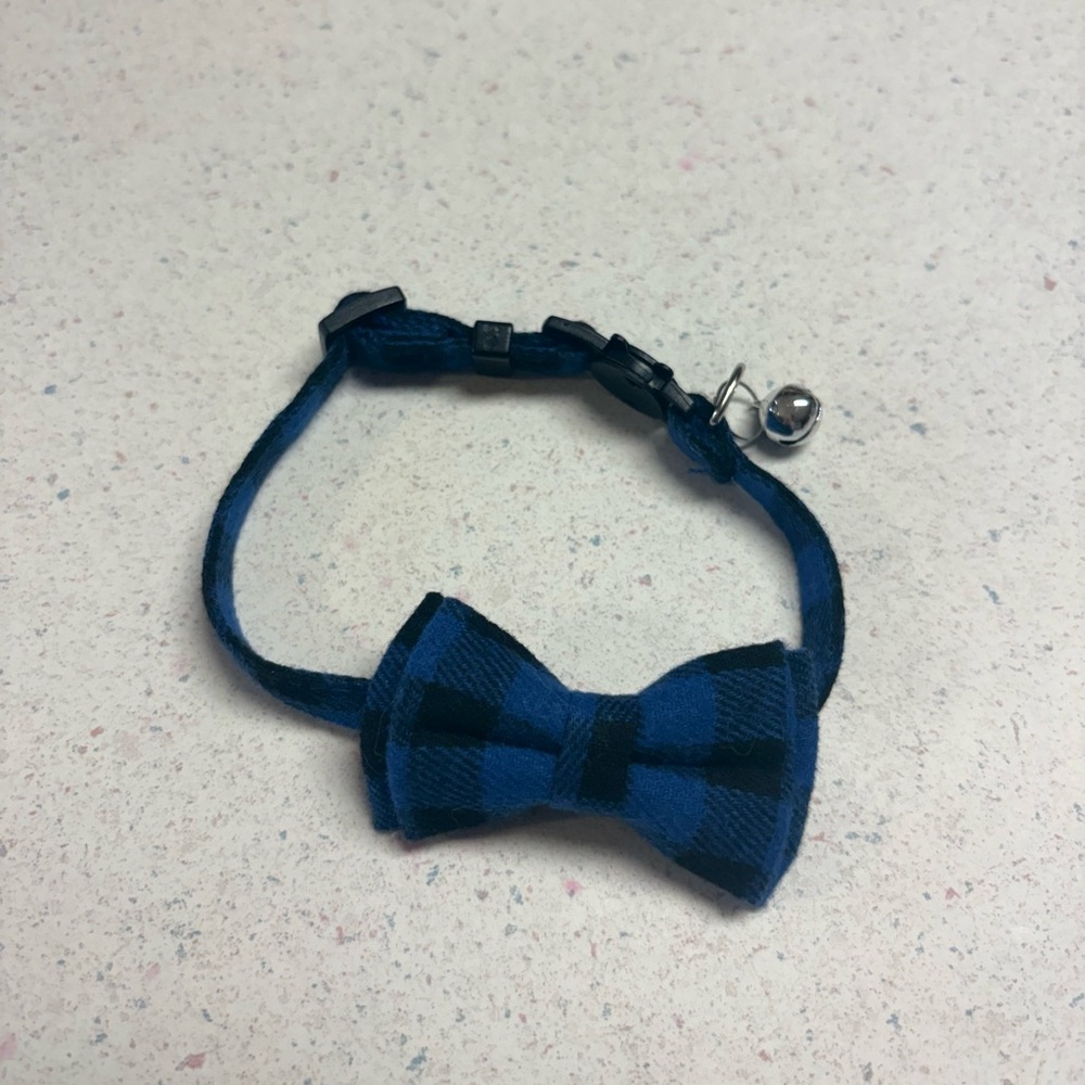 Cat Collar